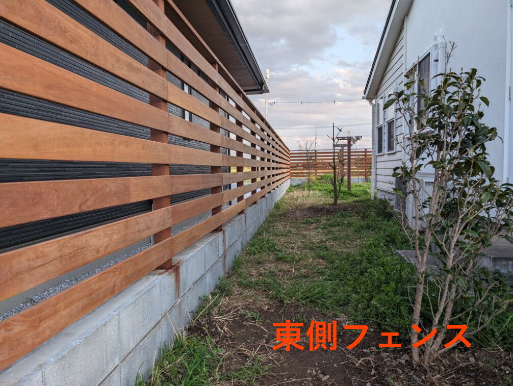 東側フェンス