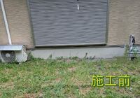 PXL_20250825_232030439.MP