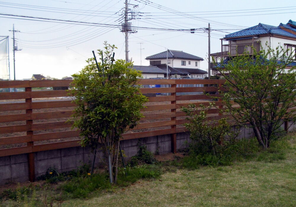 koshigaya_Y001_2021_02