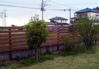 koshigaya_Y001_2021_02