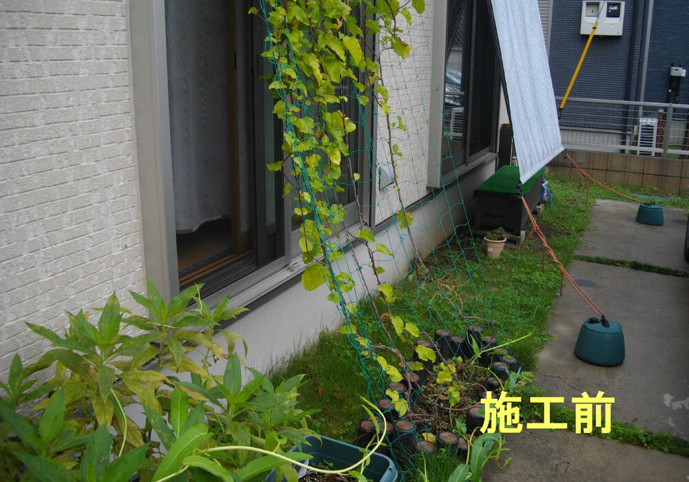 IMGP1568